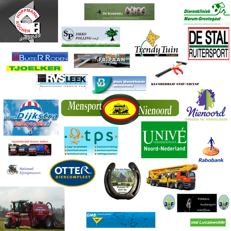 verzamel sponsors 2013