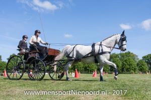 dressuur en vaardigheid 2017-0019