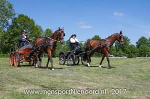 dressuur en vaardigheid 2017-0036