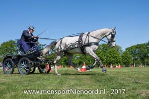 dressuur en vaardigheid 2017-0044