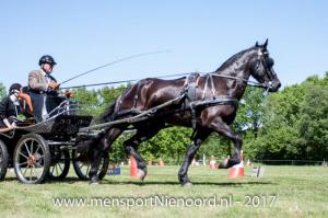 dressuur en vaardigheid 2017-0057