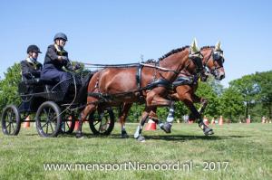 dressuur en vaardigheid 2017-0068