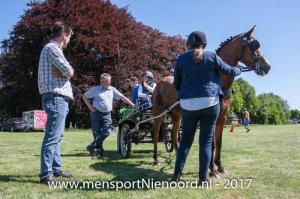 dressuur en vaardigheid 2017-0074