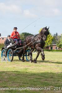 dressuur en vaardigheid 2017-5413