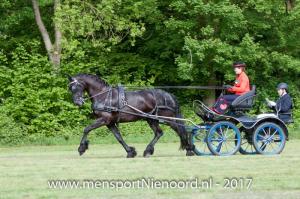 dressuur en vaardigheid 2017-5423