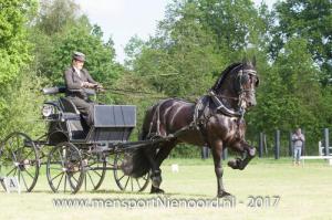 dressuur en vaardigheid 2017-5432