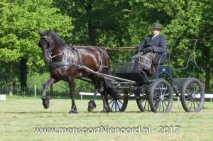 dressuur en vaardigheid 2017-5446