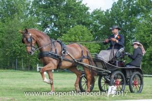 dressuur en vaardigheid 2017-5451