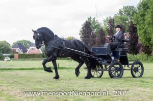 dressuur en vaardigheid 2017-5455