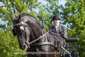 dressuur en vaardigheid 2017-5476