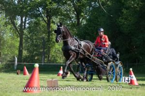 dressuur en vaardigheid 2017-5524