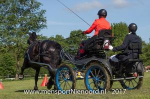 dressuur en vaardigheid 2017-5532