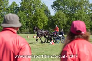 dressuur en vaardigheid 2017-5535