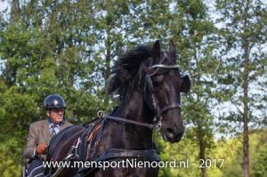 dressuur en vaardigheid 2017-5540