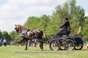 dressuur en vaardigheid 2017-5563