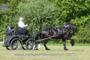 dressuur en vaardigheid 2017-5576