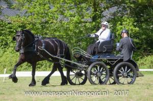 dressuur en vaardigheid 2017-5580