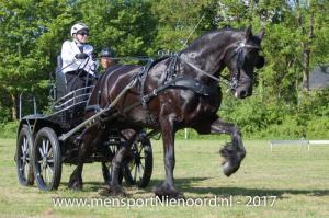 dressuur en vaardigheid 2017-5582