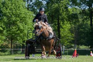 dressuur en vaardigheid 2017-5593