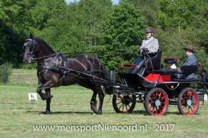 dressuur en vaardigheid 2017-5605