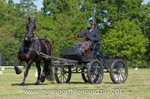 dressuur en vaardigheid 2017-5607