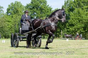 dressuur en vaardigheid 2017-5621