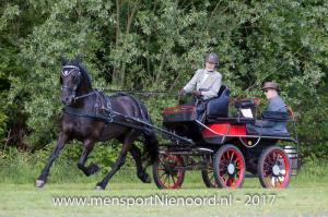 dressuur en vaardigheid 2017-5625