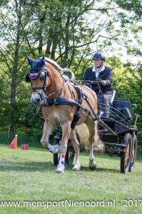 dressuur en vaardigheid 2017-5634