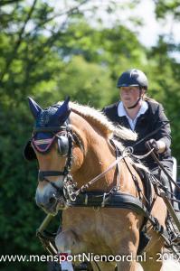 dressuur en vaardigheid 2017-5642