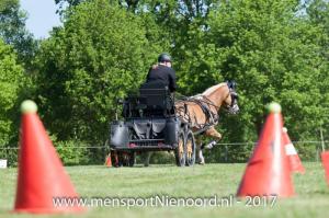 dressuur en vaardigheid 2017-5644