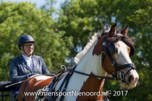 dressuur en vaardigheid 2017-5656