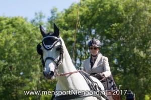 dressuur en vaardigheid 2017-5660