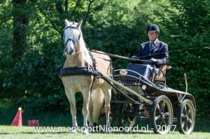 dressuur en vaardigheid 2017-5681