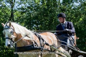 dressuur en vaardigheid 2017-5686