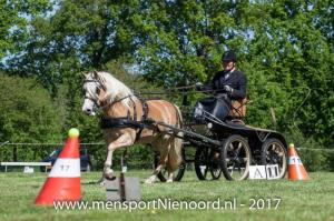 dressuur en vaardigheid 2017-5692