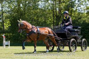 dressuur en vaardigheid 2017-5701