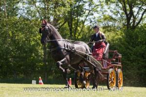 dressuur en vaardigheid 2017-5717