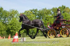 dressuur en vaardigheid 2017-5718