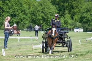 dressuur en vaardigheid 2017-5790