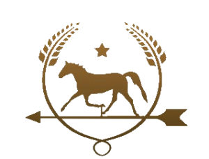 logo-xander-tuitje