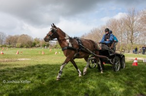 oefenmarathon 2017-3866