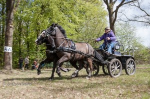 oefenmarathon 2017-3882