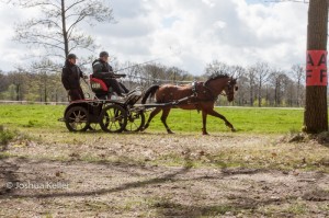 oefenmarathon 2017-3889