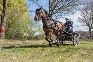 oefenmarathon 2017-3899