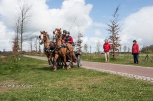 oefenmarathon 2017-3952