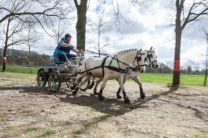 oefenmarathon 2017-3965