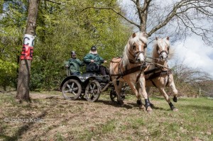 oefenmarathon 2017-3975