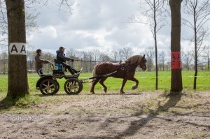 oefenmarathon 2017-3978