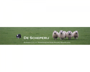 descheperij-nl  